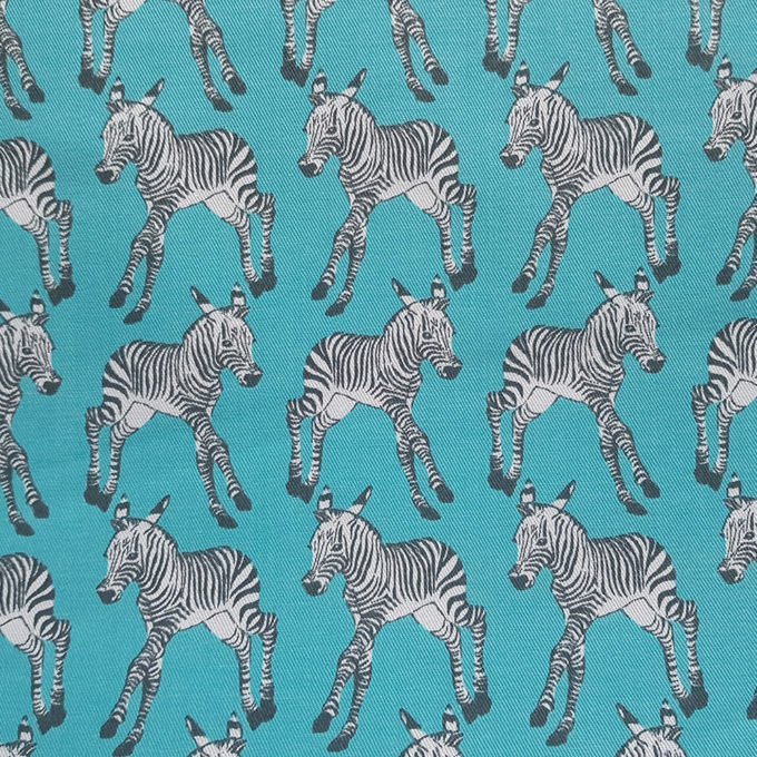 Turquoise zebra print
